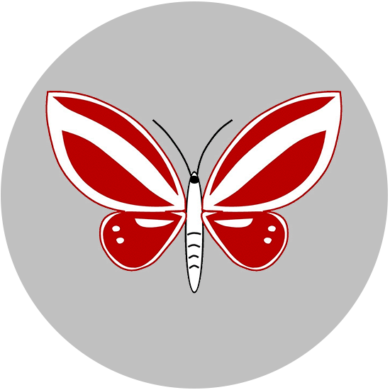 service-bg